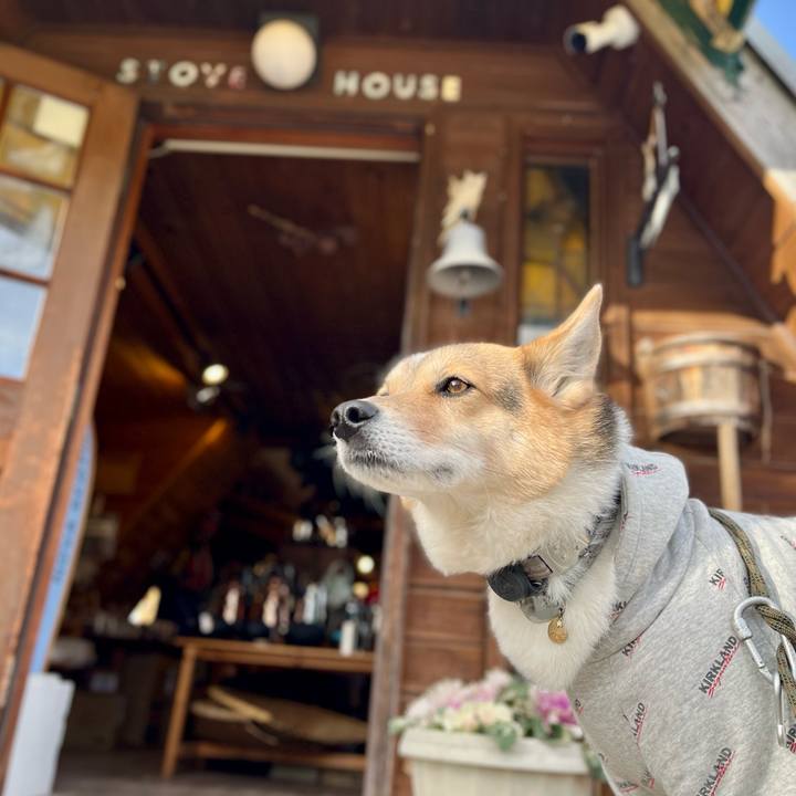 8a5d72c9 6320 443c ad71 1e349f4dfa49 1767858298829