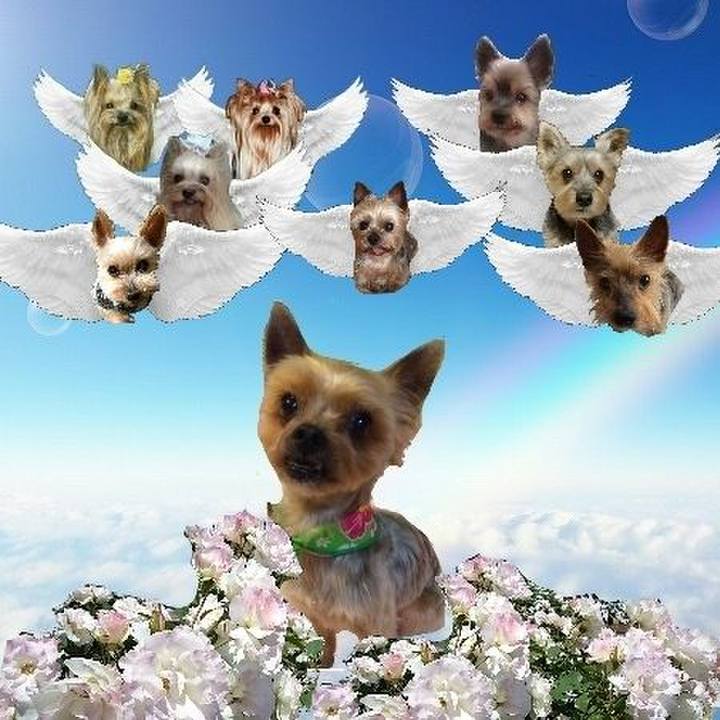 8a5db46f 2ef1 48c2 8e33 f839caef4a21 1688872353307