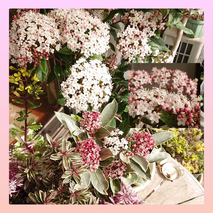 8a5db6c0 ac82 46ef 8e54 efe4efda6c8a 1648439943671