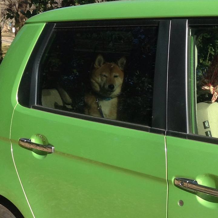 8a5dcac3 6e81 4341 9bdf dc1fb9be7ada 1545981467434