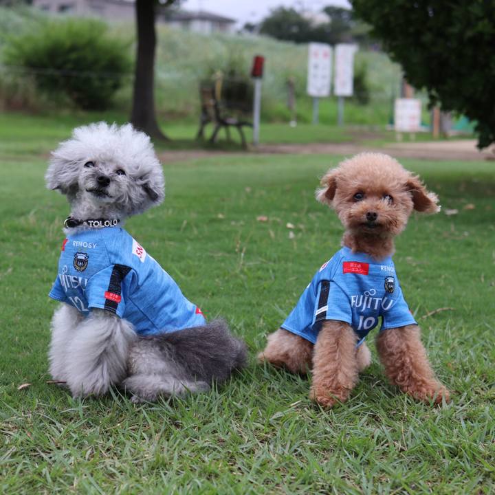 8a5dd81c 9619 43ea acfc 8eb03ef4fdf7 1563767869953