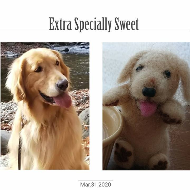 8a5de4be ecf9 4fc3 abbc b144c81e487c 1585660647461