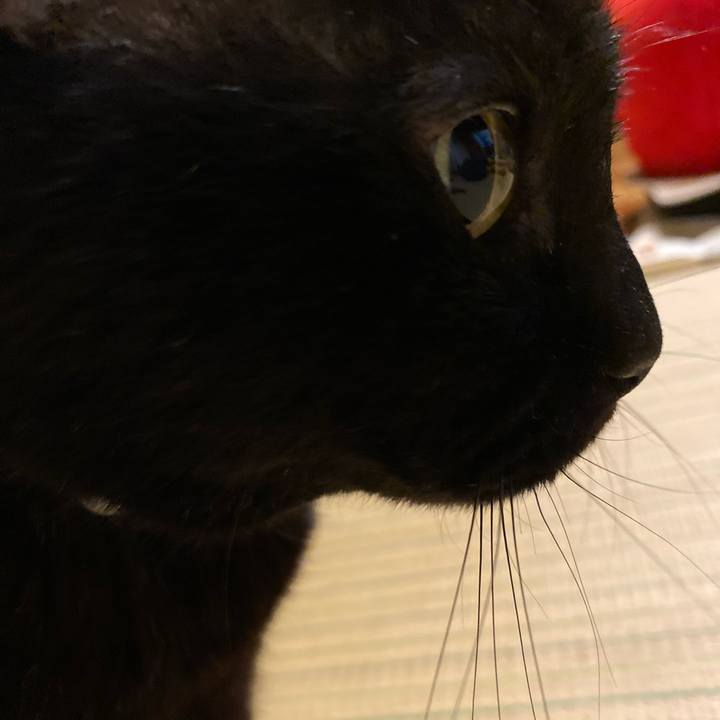 8a5e1fb3 9261 4614 a426 fe623a07c0ab 1622550162644