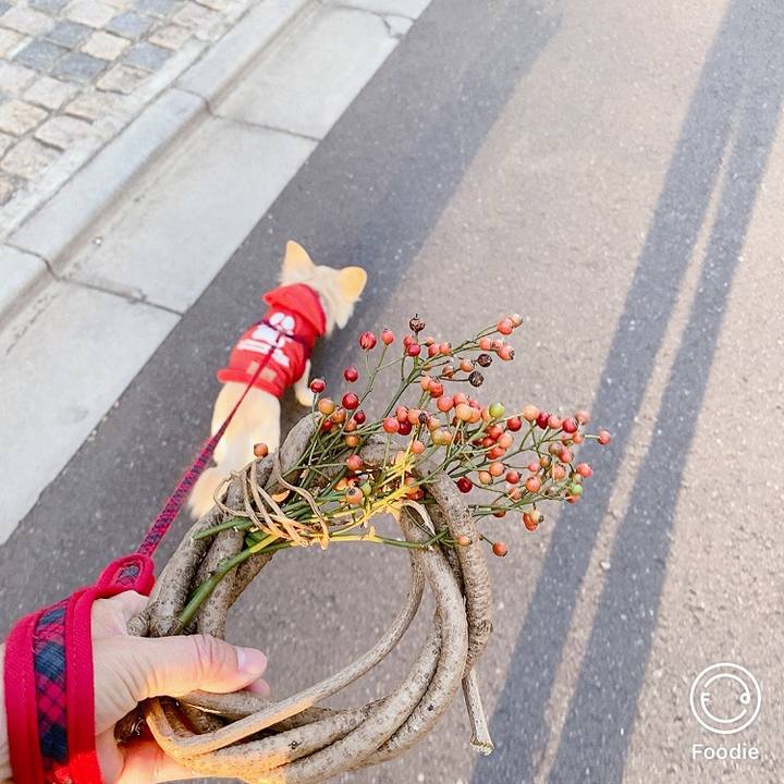 8a5e2c43 353c 426a b320 3e07f9022b37 1606811675694