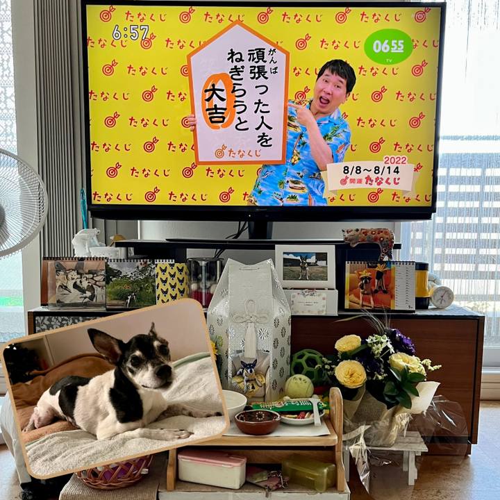 8a5e6982 223c 485c b9be 9ef7b6845475 1659910249789