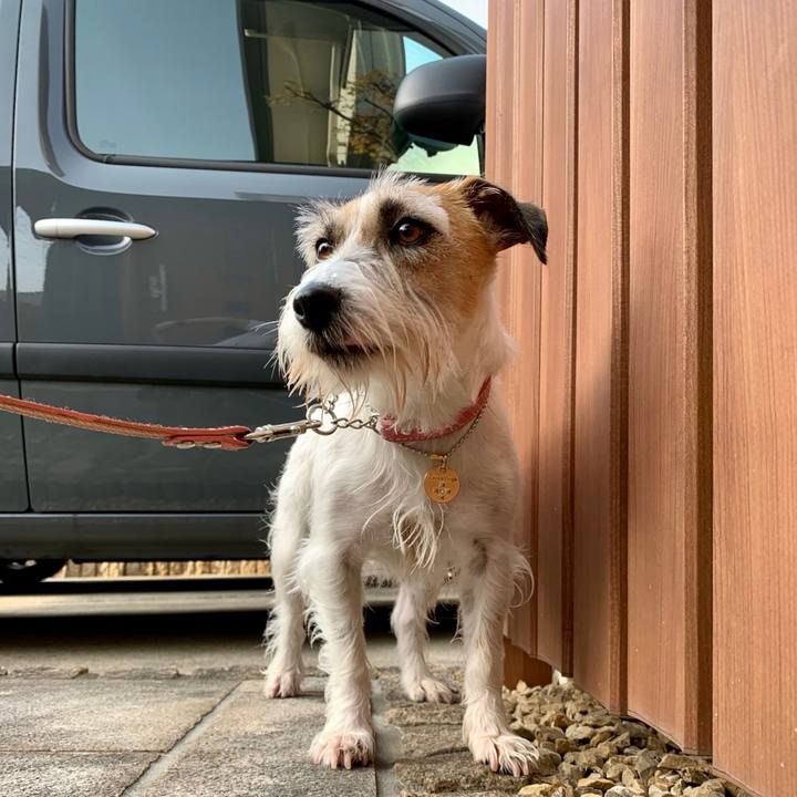 8a5e6e81 0862 46dc ad95 ff4a221888df 1649635966405