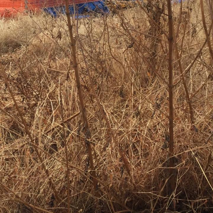 8a5e9dd5 c865 4c08 b537 9c2769f42f8f 1609820679970