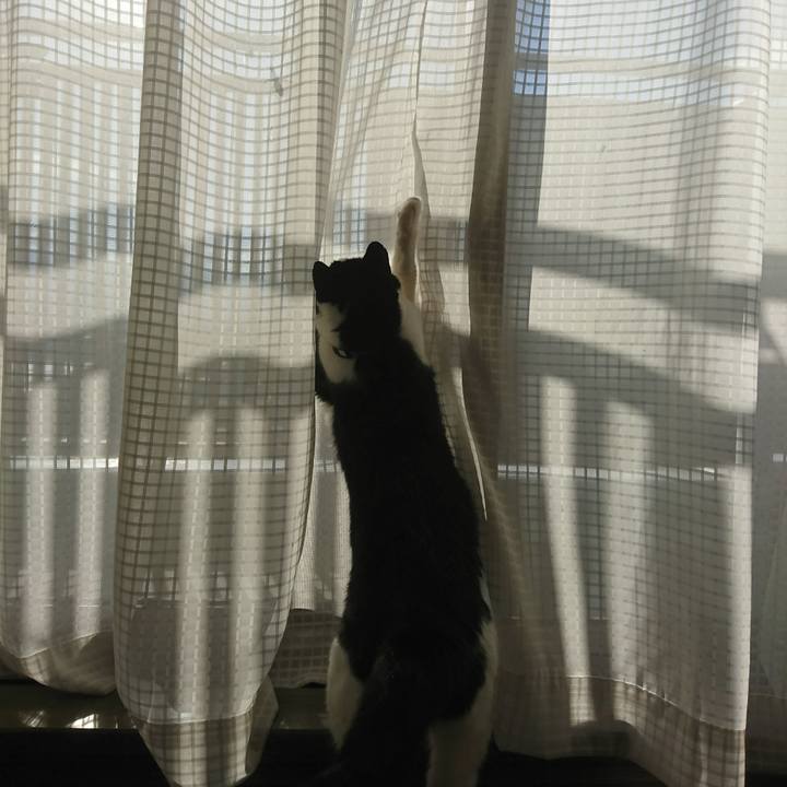 8a5ef56e ca95 448d a033 7f512bdc7a10 1572999477711