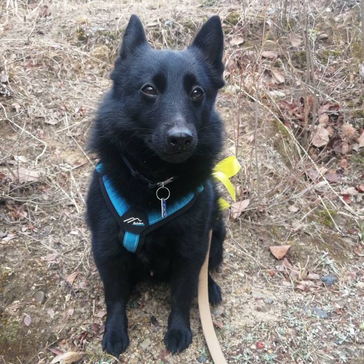 8a5f0fc0 8905 46fe ae44 df504f5c1616 1647295488699