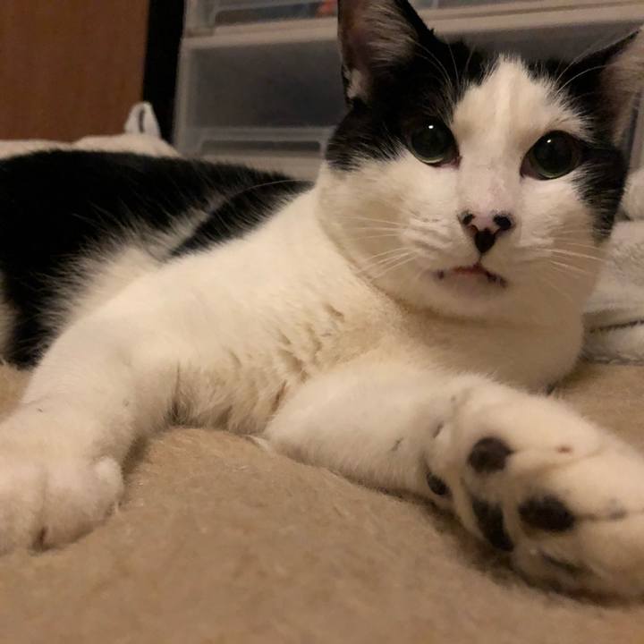 8a5f2fe6 58e7 4a6f 8f11 63c755e7eba9 1546713720058