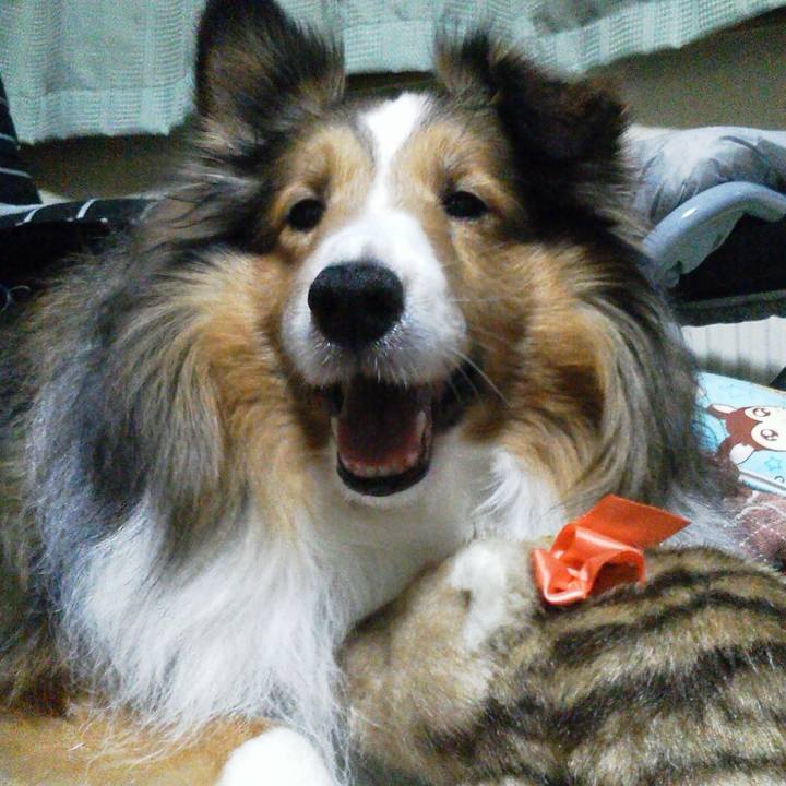 8a5f8de7 a649 4322 89a3 db9753d4f7ed 1691735845546