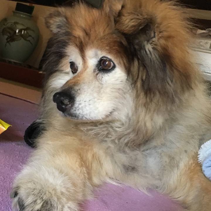 8a5fb765 0ecf 449c 9557 9e7f823f3955 1593415008903