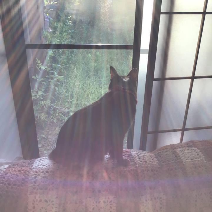 8a5ffddc 2ca5 4341 8d59 0206a177f3fe 1600121602251