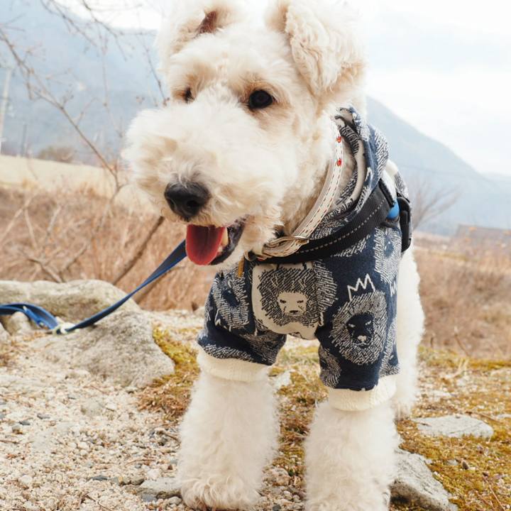 8a603cd2 9eb4 4a37 aa30 69a0146597d0 1520330752529