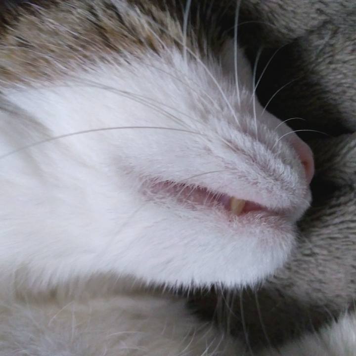 8a6065fc e2cc 49b5 ab62 b05e32475c8d 1549973362412