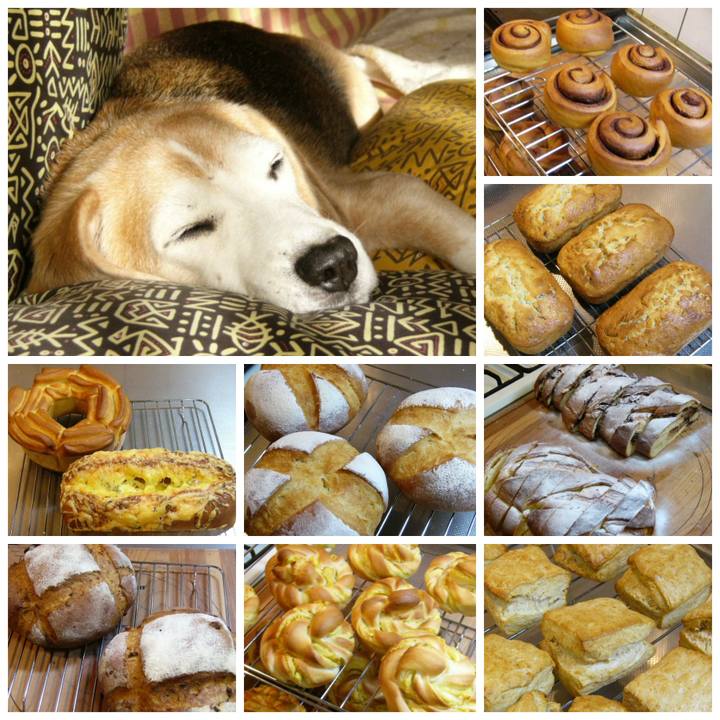 8a608d18 e543 4137 b593 b70da316c7e2 1671244028786