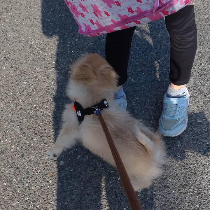 8a609f59 47e5 486b bd31 135287f9c238 1725407560868