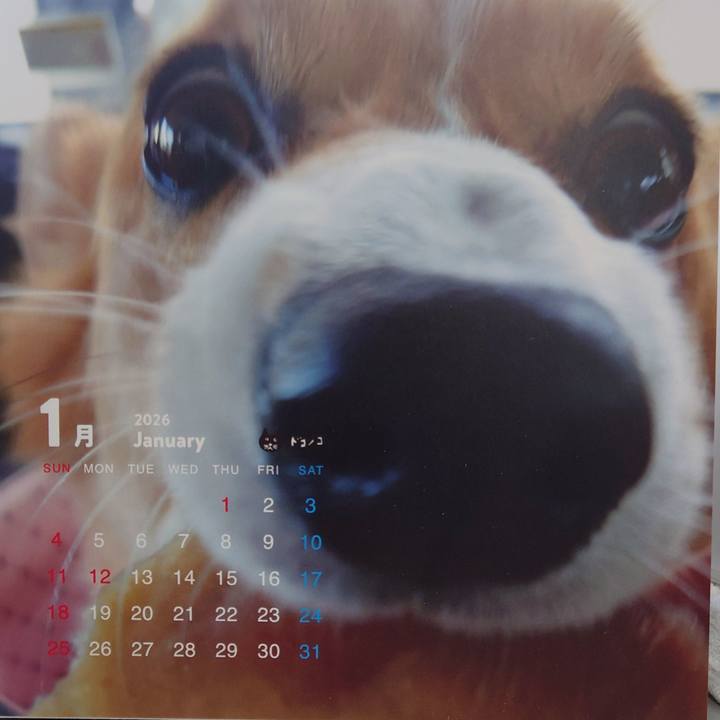 8a60ba86 8961 4f24 b541 e6938b2d6174 1767801004546