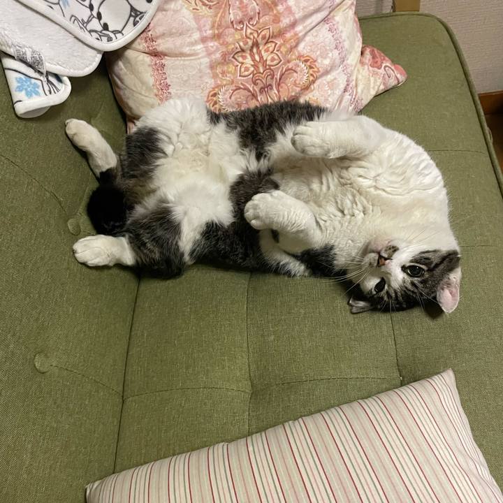 8a60eaaa 8155 444c 97b6 2474260c9f2d 1713528852765