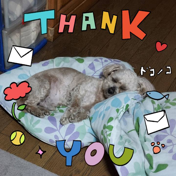 8a60f110 49be 4714 ab20 0d0e1f00689c 1715514383274