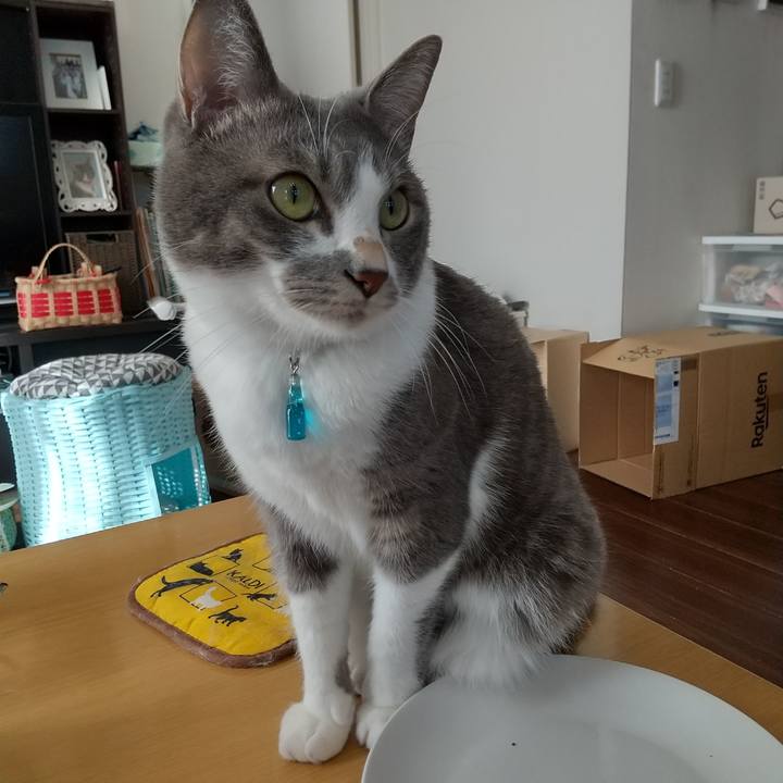 8a60f215 d2c3 4437 8611 ec2bf6ce7ce7 1636683282686