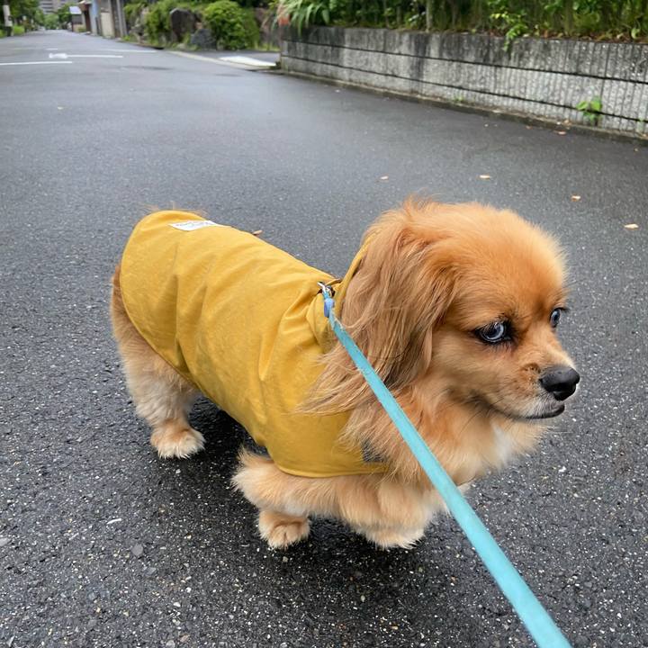 8a6100b0 c7e8 4e94 9047 7874ea8e10b2 1594246406830