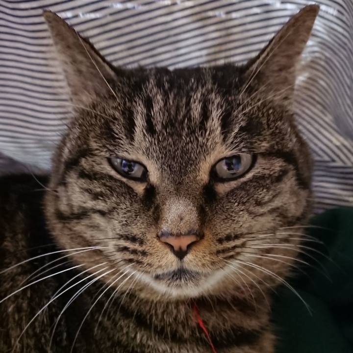 8a6103fe 5ef8 4897 98f1 dc7521082a54 1641299340905