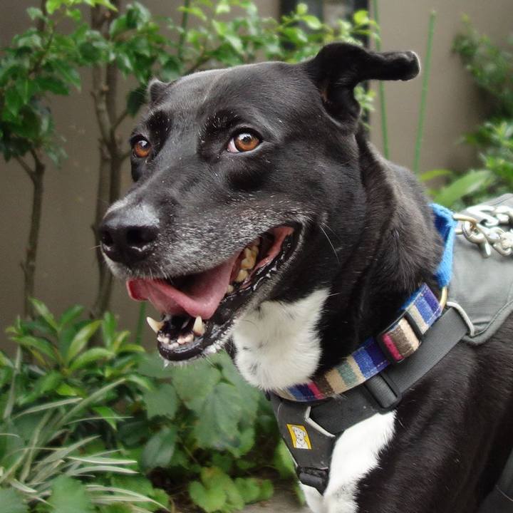 8a6104dd 188d 4c78 95d9 3e8f63014e54 1659743865652