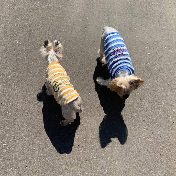 8a610dcb 54dc 4043 b4b1 33c2350a554e 1685010912225