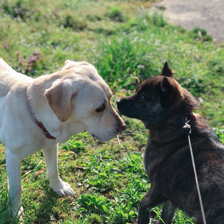 8a613ad3 6146 4f61 a096 fc0cc4aa6b25 1524265763917