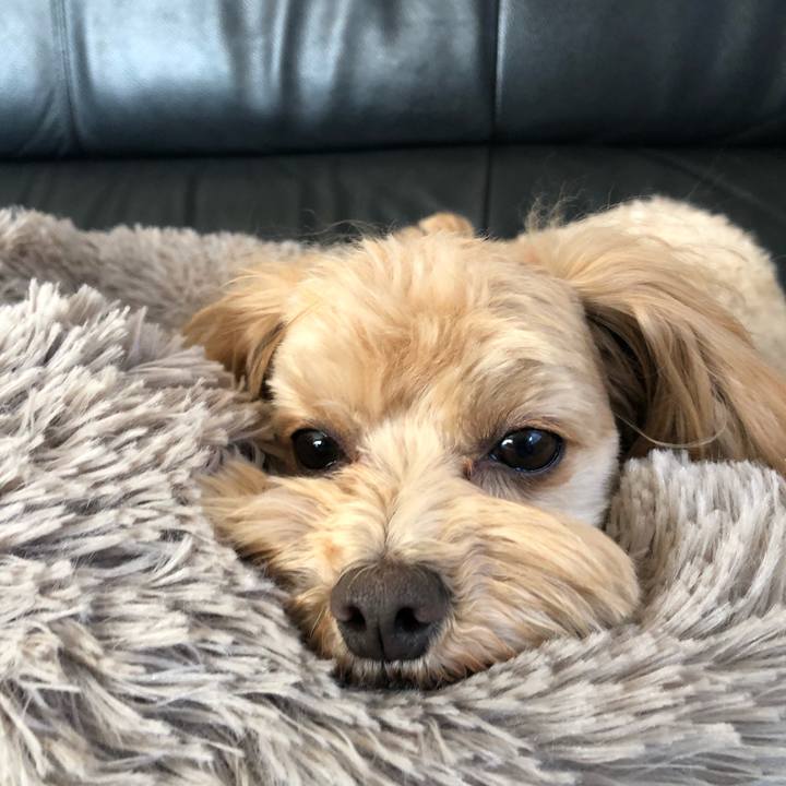 8a615526 5310 4c78 8392 7e73ed87c379 1672289125586