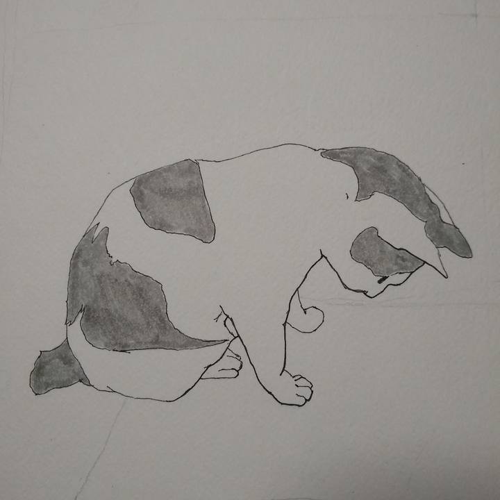 8a61707b 88ee 4e67 9489 c20daf4882d9 1556442108455