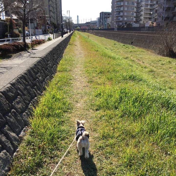 8a618d3c ef37 4f44 aece ebc8633302af 1549091019557