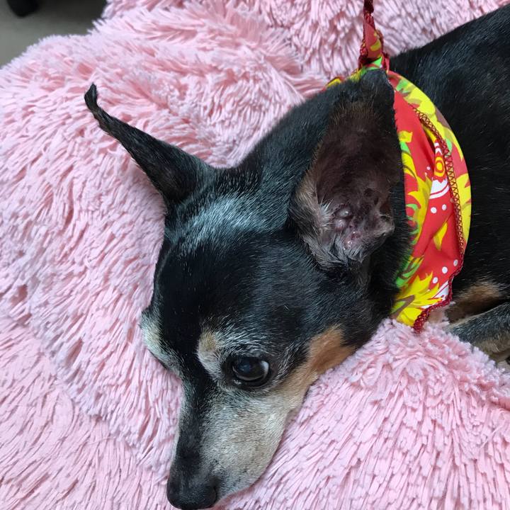 8a61973d e890 49d9 abb6 cc5159c918b8 1566045791810