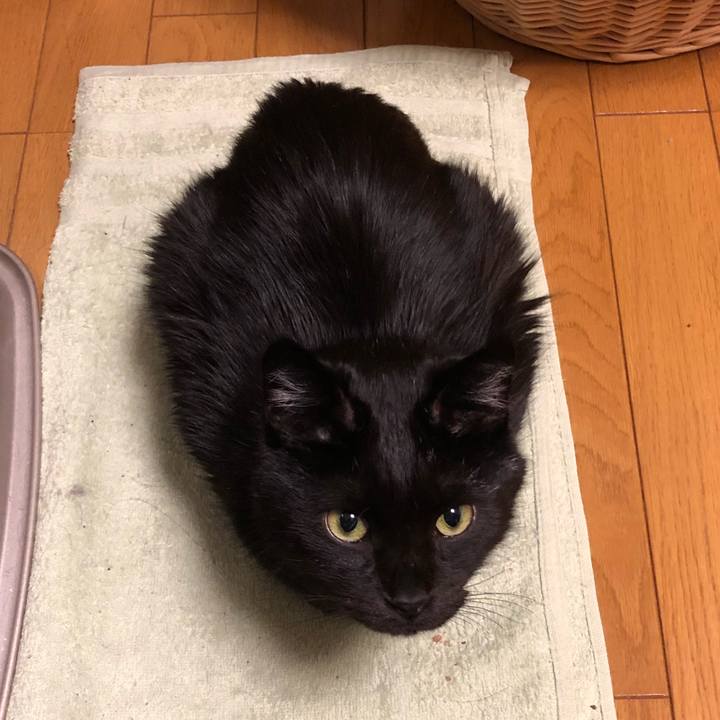 8a61a370 4441 42fa 9d13 78ed03177953 1574593437710