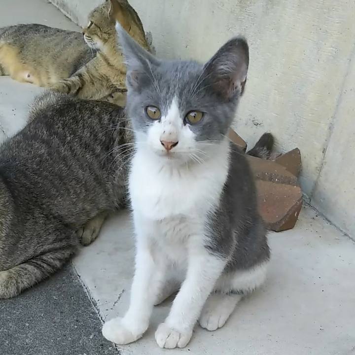 8a61ab39 6a6f 41ff b6cb 670f143121af 1534625577989