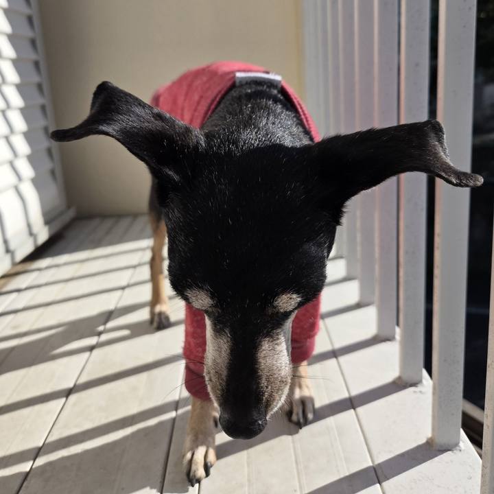 8a61bf6d be86 4d2c b9e4 bde2bf457807 1766981004005