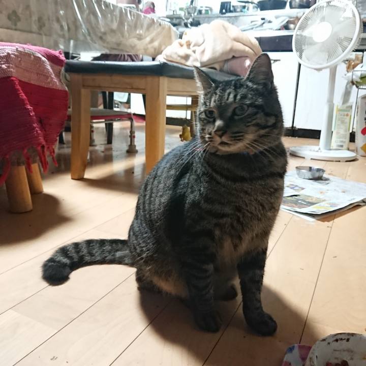 8a61d563 ff0b 41d4 946c 57ada14e8974 1661462744730