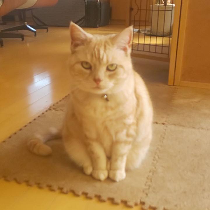 8a6203ba 0ded 40ed b573 5837661e7990 1584505119768