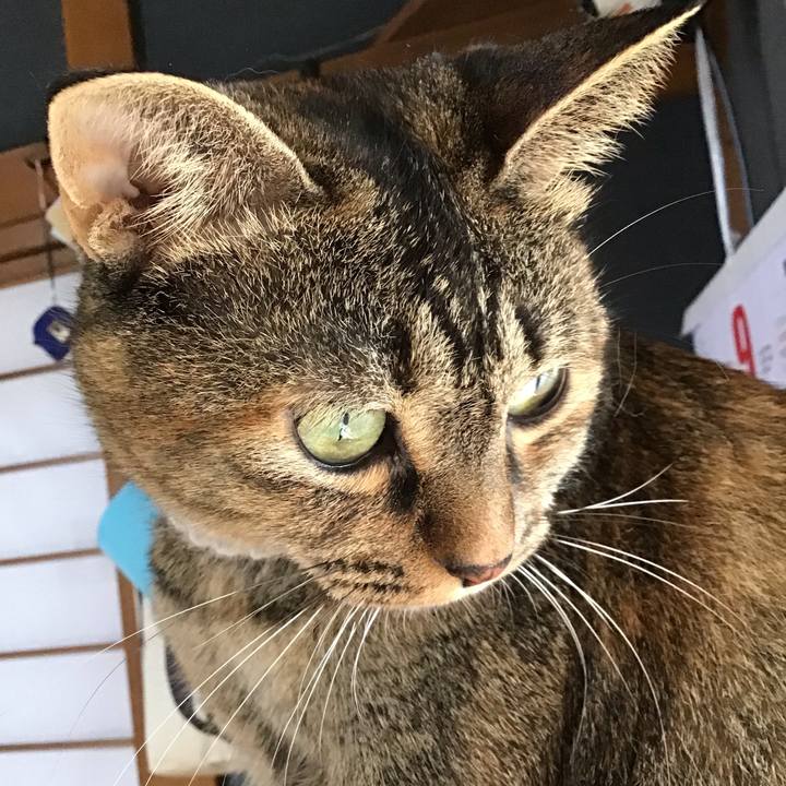 8a6209a2 9fd2 4dff a8fa d65ea61d3977 1662889400300