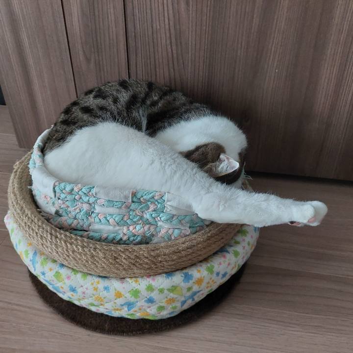 8a621c14 54a6 4290 9019 b0a09122a33c 1658726948705