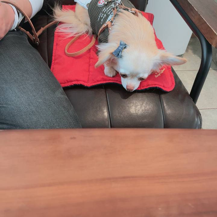 8a625ce1 46a4 4cfa 8619 a1d70352467b 1700811440810