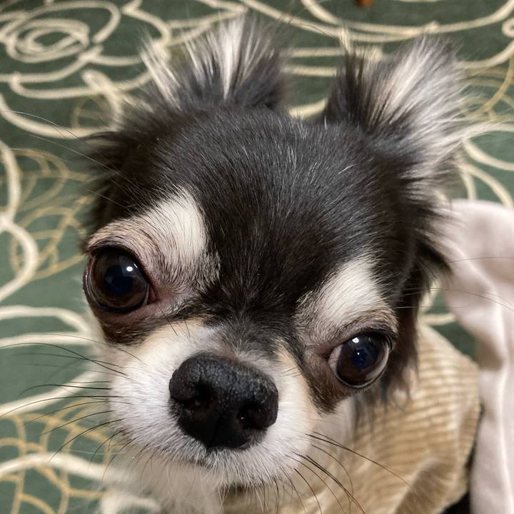 8a626270 138d 4f09 b497 37c64dbd45bc 1638107444188