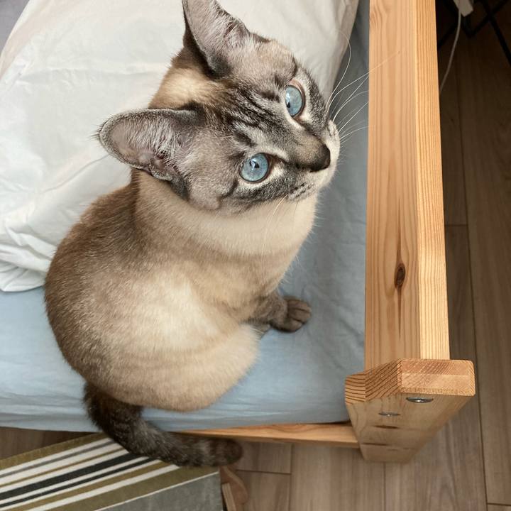 8a629b07 92ff 4cd1 99d9 ceae2ab289f5 1680919099728