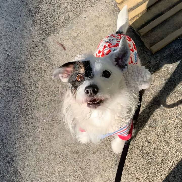 8a62c025 9ef6 4600 ad18 365f6d8e8e24 1703032943344