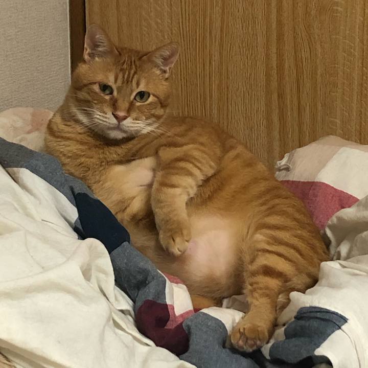 8a62c135 fd32 410f 96ea 0ac2e633f15d 1622640305419