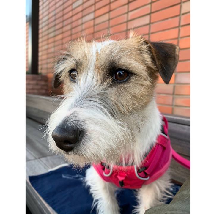 8a63393c 8016 4dbf 8df5 c88a33e1af43 1581161069283