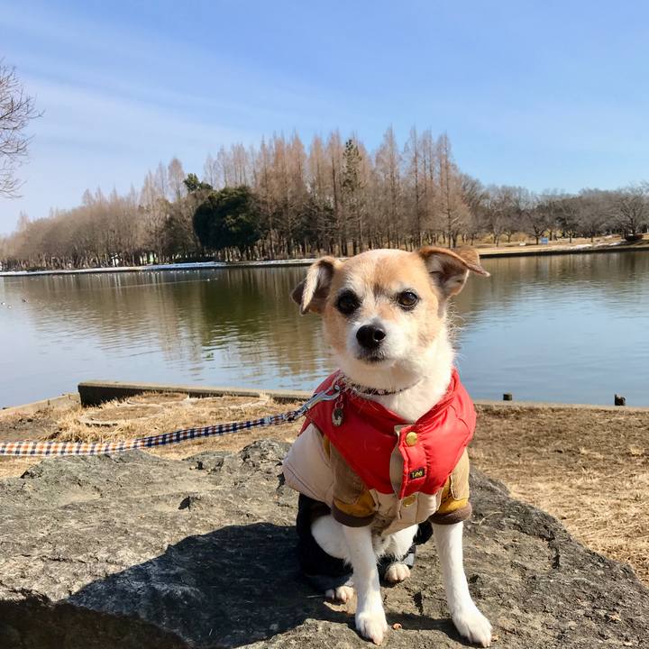 8a633b83 b4c5 434b ae17 aeb14bfc042c 1644721825510