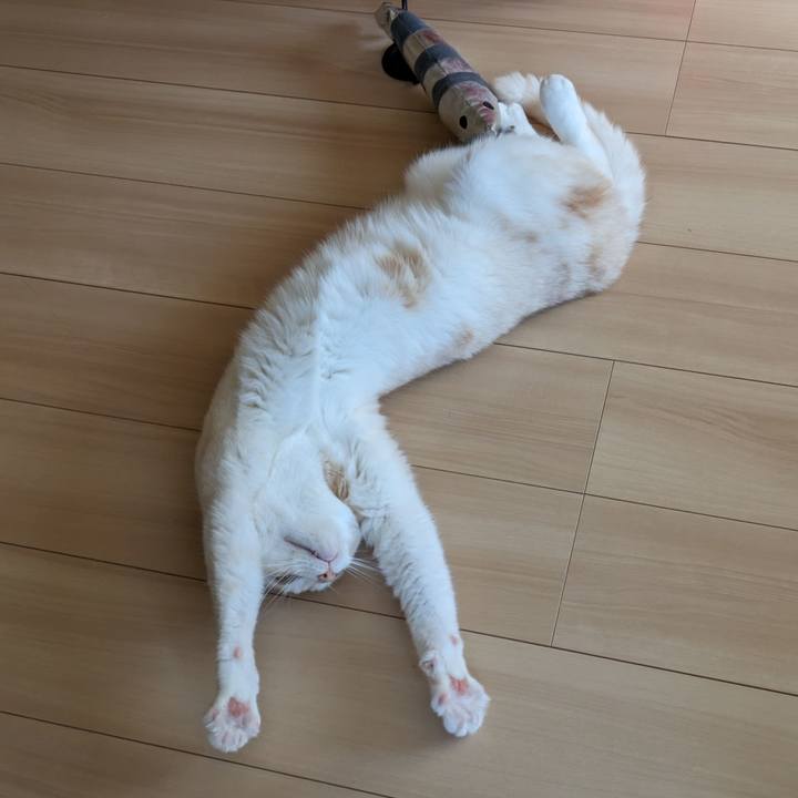 8a6368e6 9d7e 4dfc bd6a 02d0dc8a84af 1689201547589