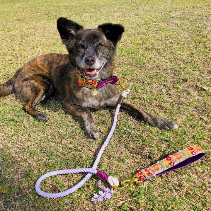 8a638f02 e5d2 4a78 8c2c 4cf426426917 1603859551103